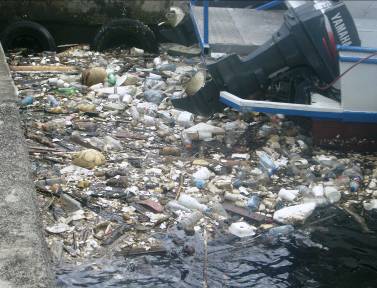 Trash in Pago Pago Harbor