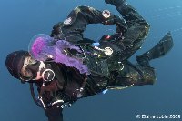 Image of Ross Overstreet scuba diving with a large purple jellyfish in front of him